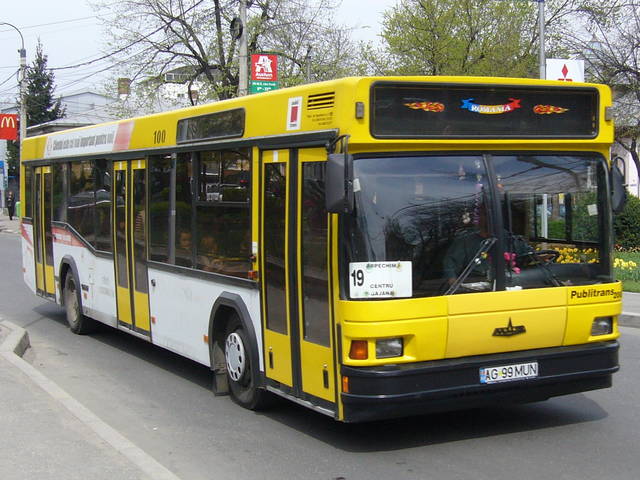 Autobuzele din Pitesti _B100-19-DW:1